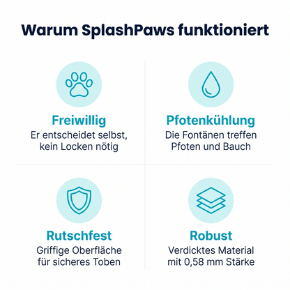 SplashPaws