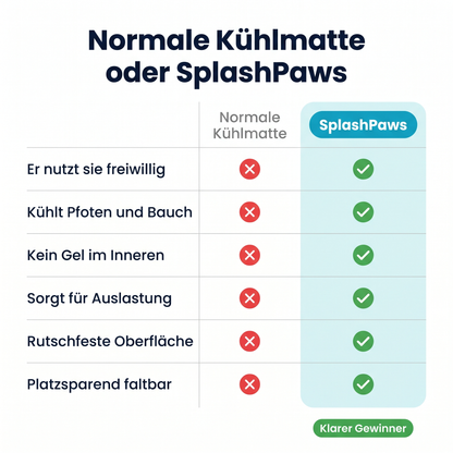SplashPaws