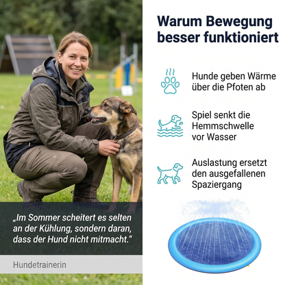 SplashPaws