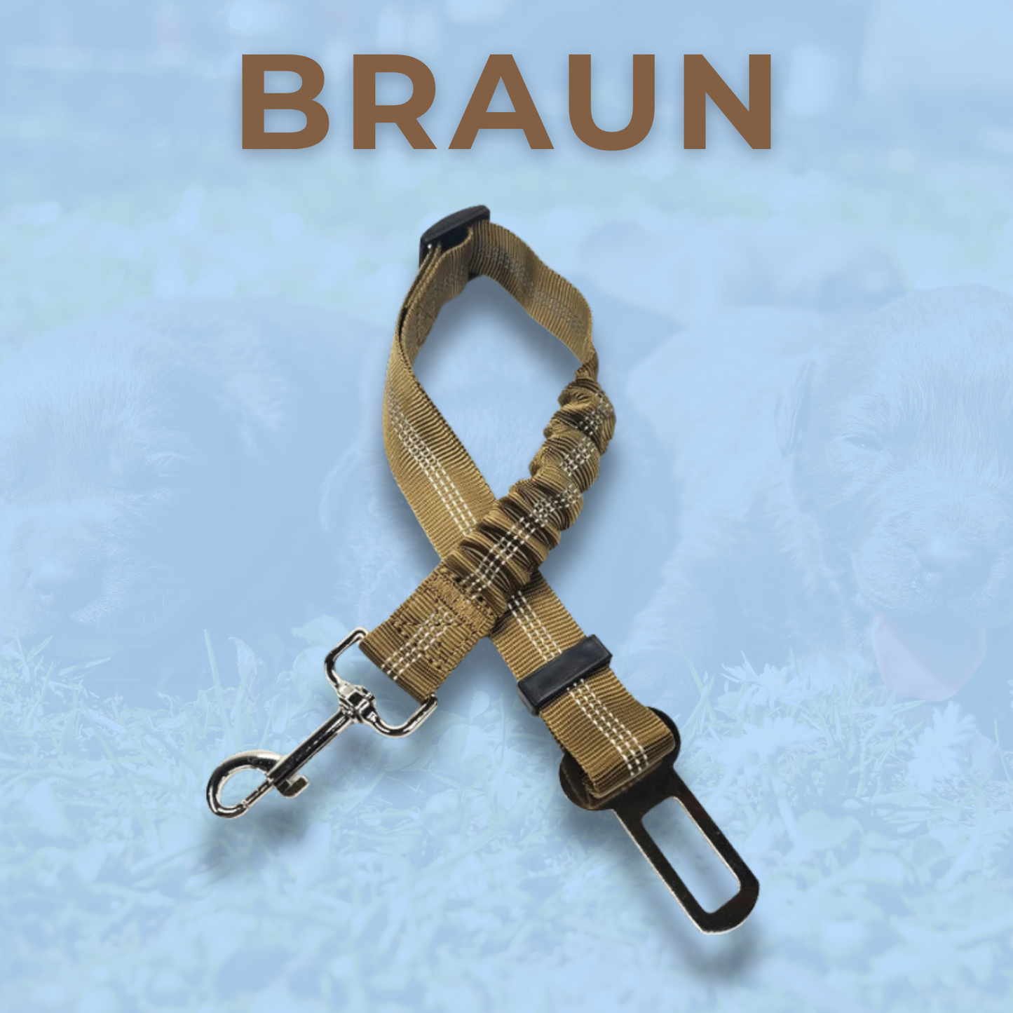 RideBuddy - Sicherheitsgurt