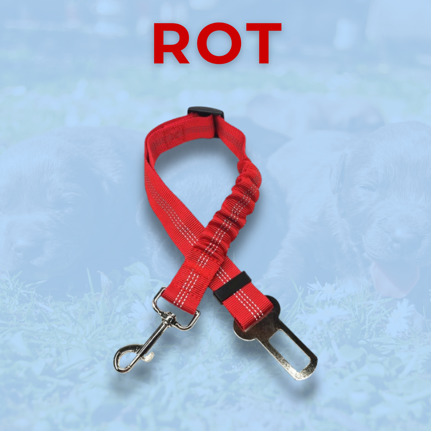 RideBuddy - Sicherheitsgurt