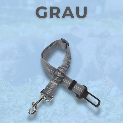 RideBuddy - Sicherheitsgurt