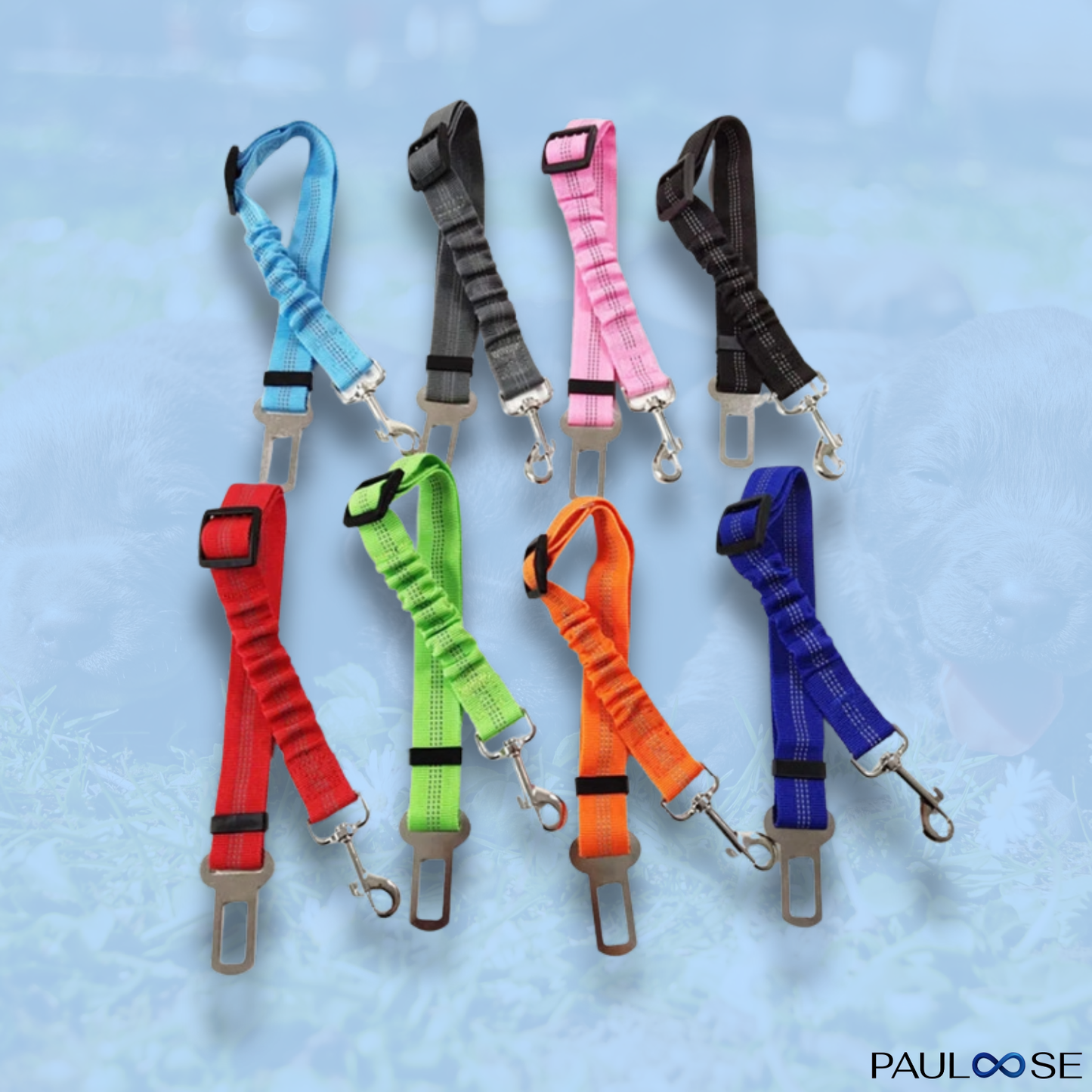 RideBuddy - Sicherheitsgurt