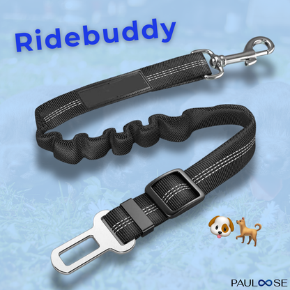 RideBuddy - Sicherheitsgurt