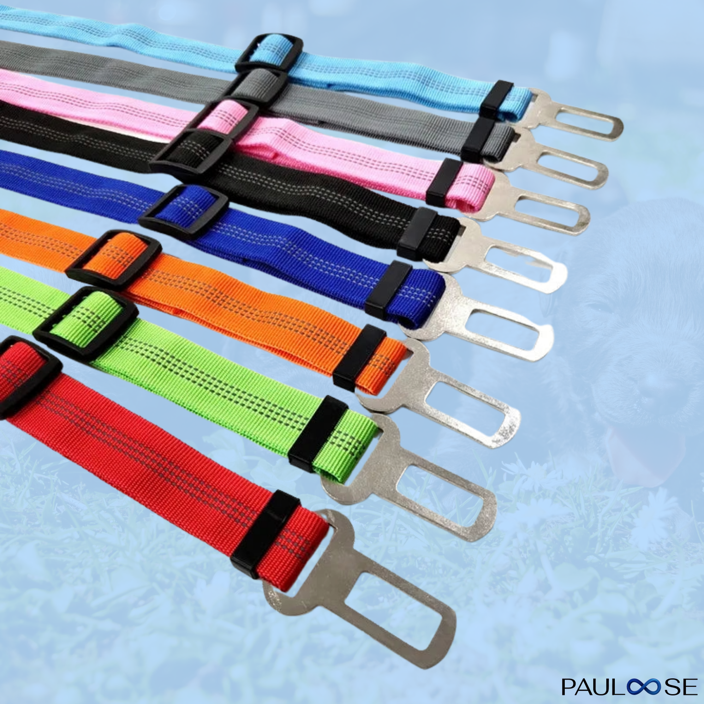 RideBuddy - Sicherheitsgurt