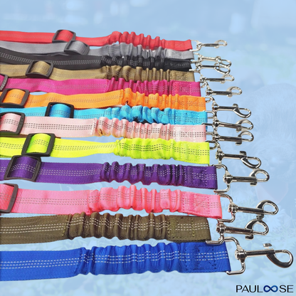 RideBuddy - Sicherheitsgurt