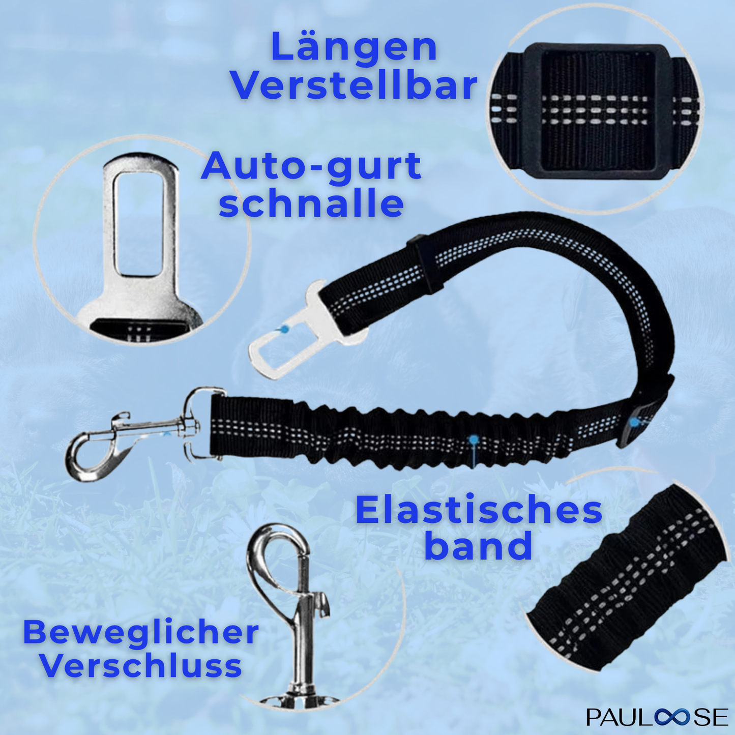 RideBuddy - Sicherheitsgurt