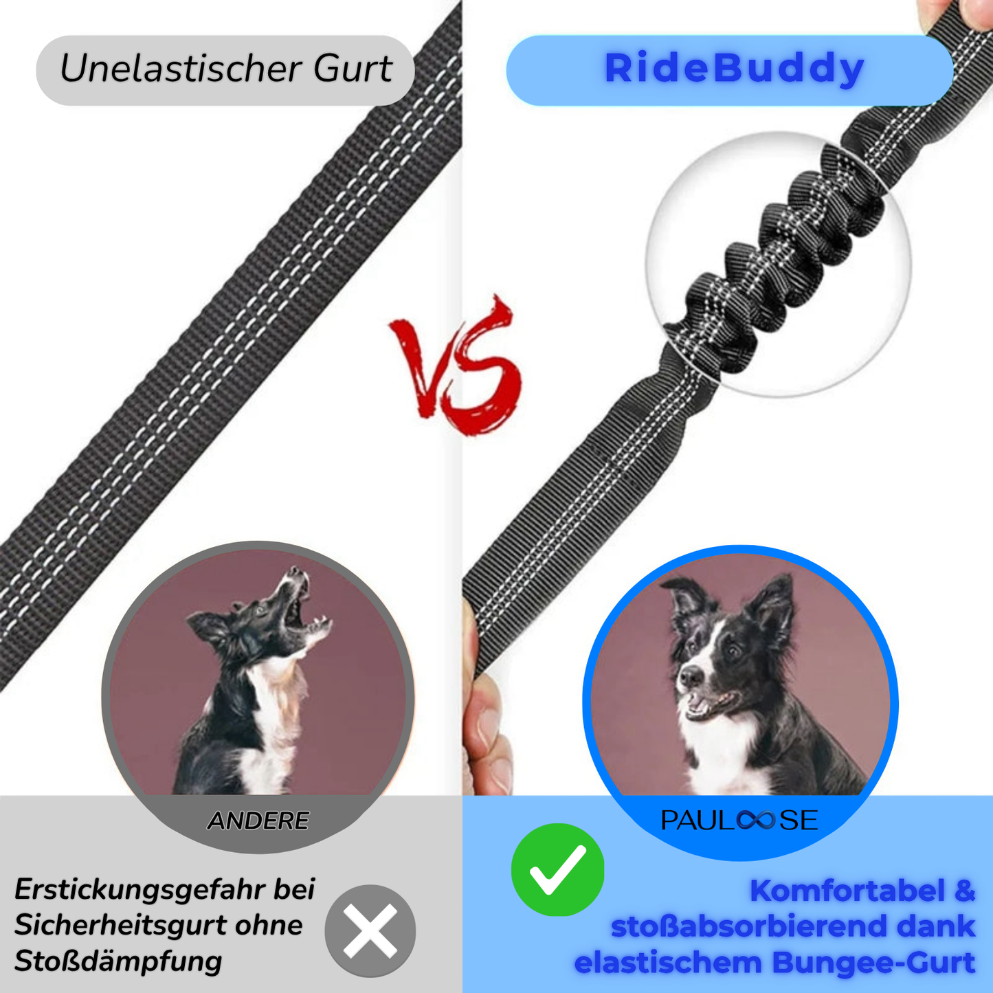 RideBuddy - Sicherheitsgurt