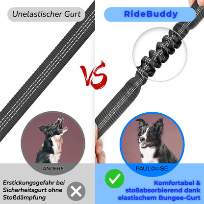 RideBuddy - Sicherheitsgurt