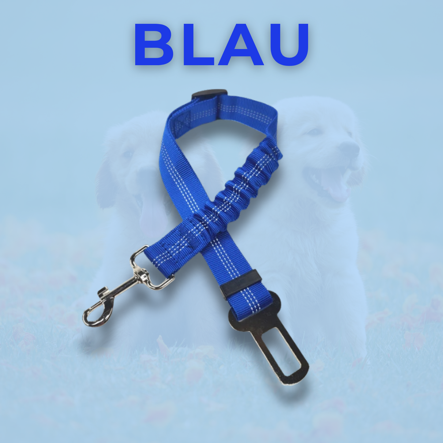 RideBuddy - Sicherheitsgurt