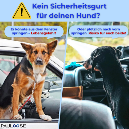 RideBuddy - Sicherheitsgurt