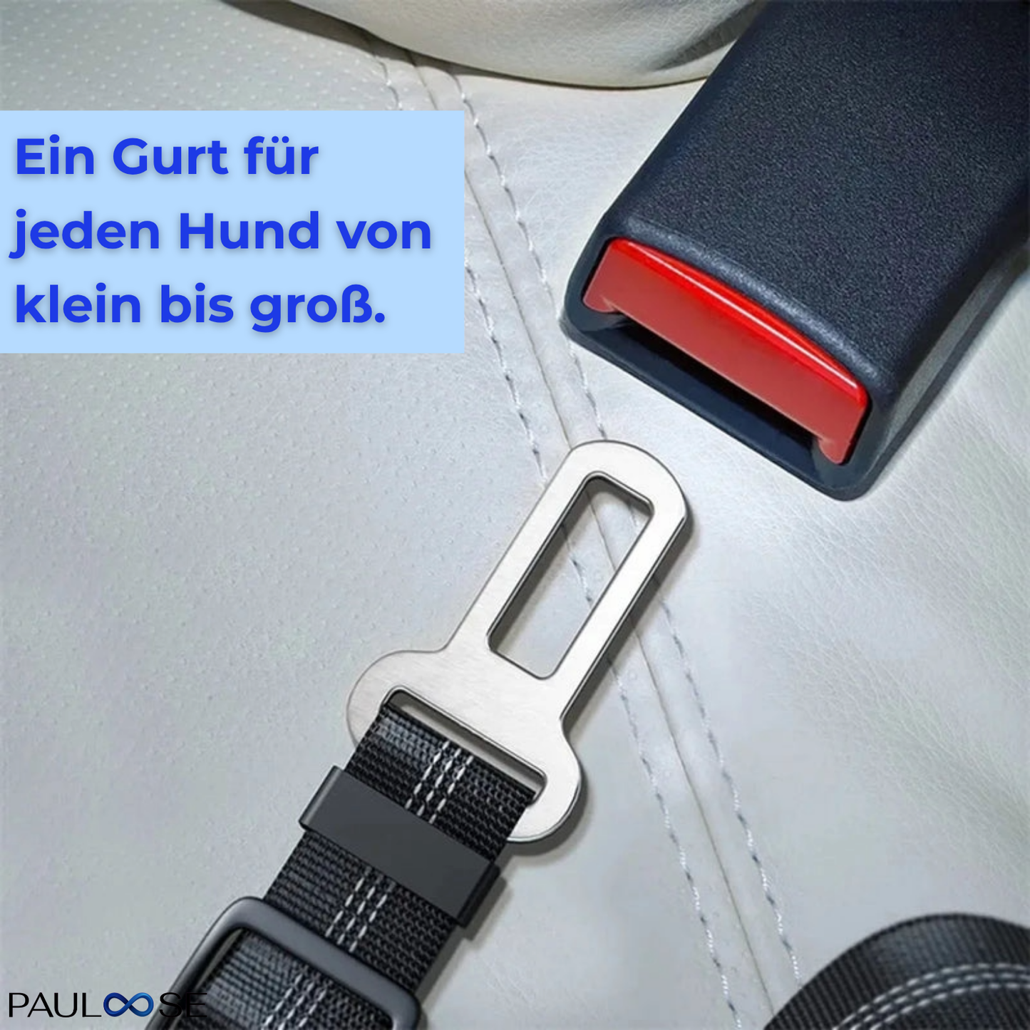 RideBuddy - Sicherheitsgurt