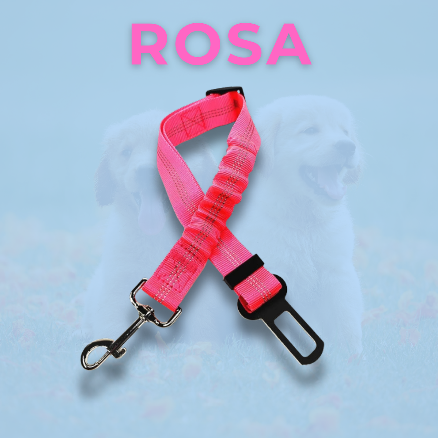 RideBuddy - Sicherheitsgurt