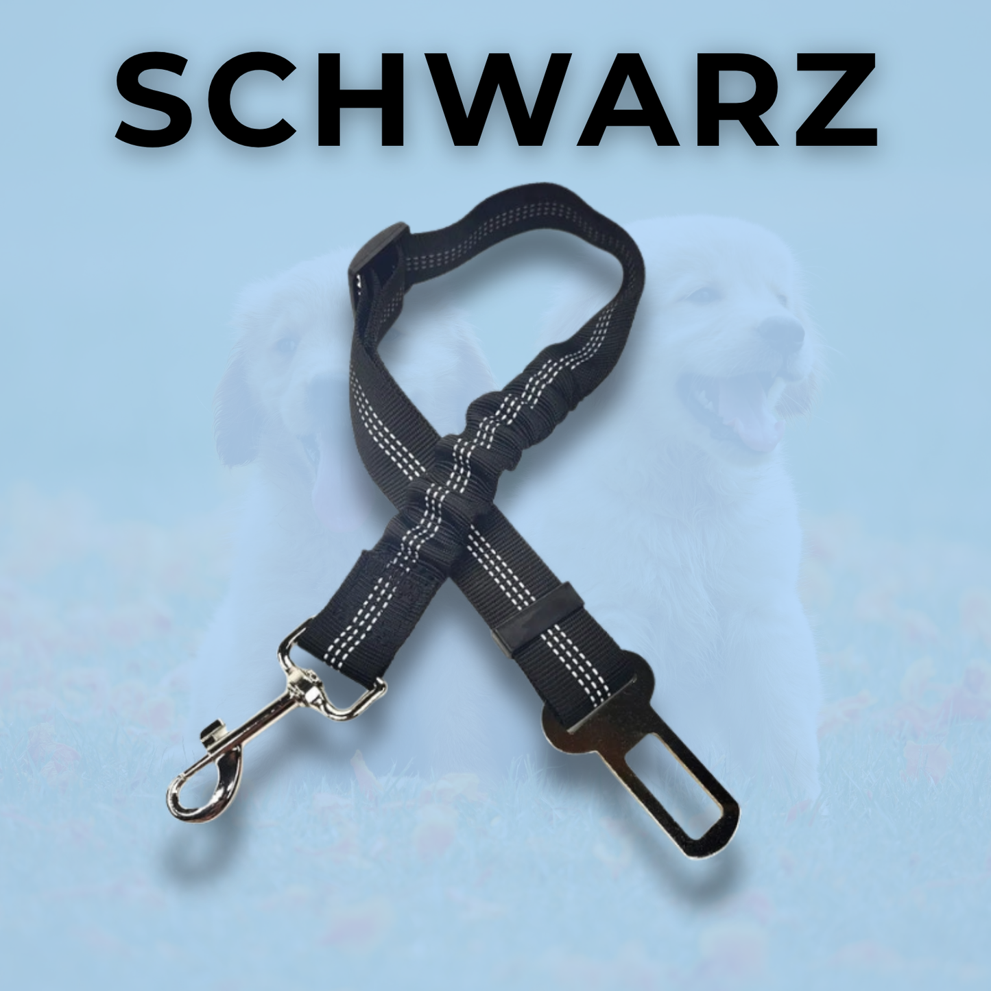 RideBuddy - Sicherheitsgurt