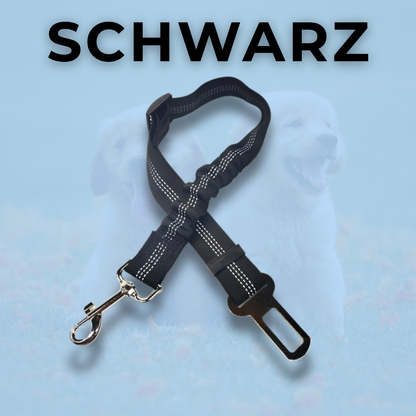 RideBuddy - Sicherheitsgurt