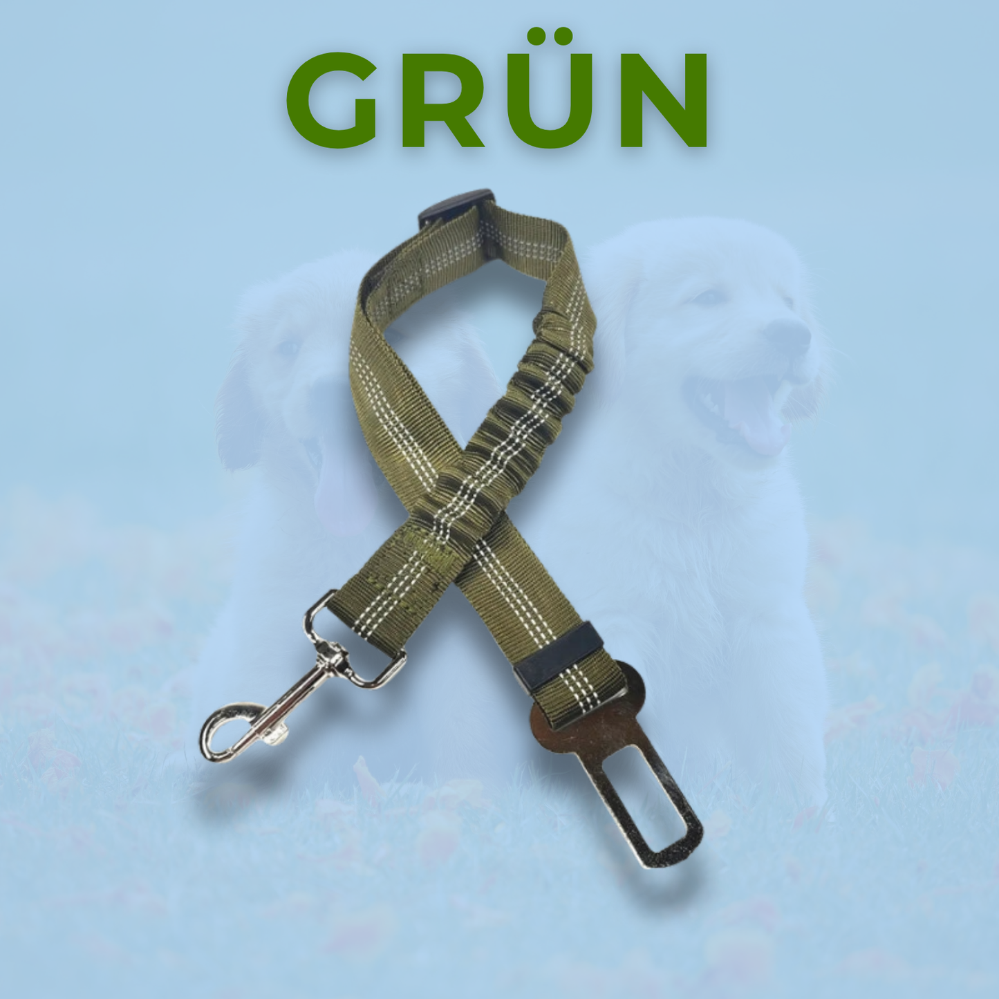 RideBuddy - Sicherheitsgurt