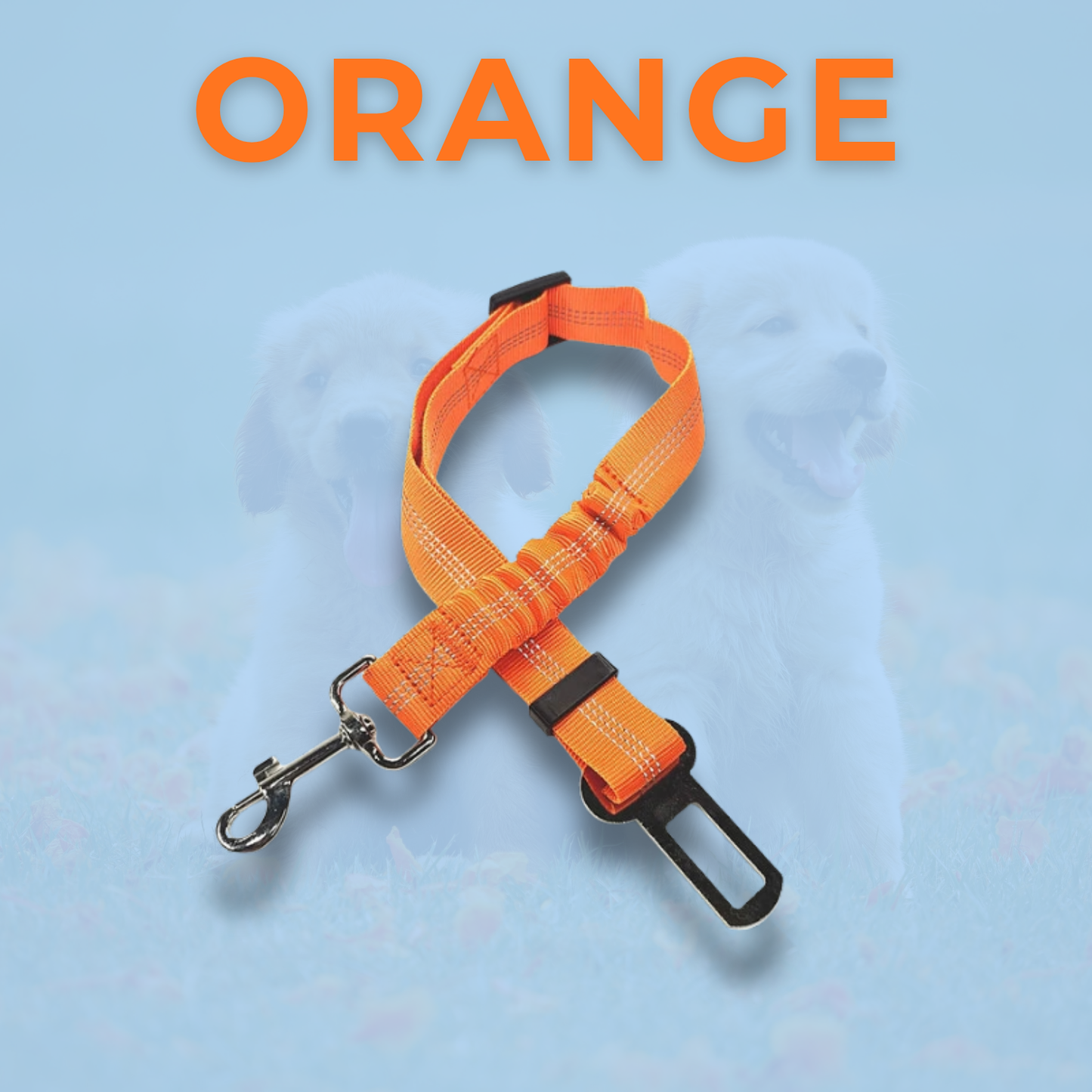 RideBuddy - Sicherheitsgurt