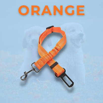 RideBuddy - Sicherheitsgurt