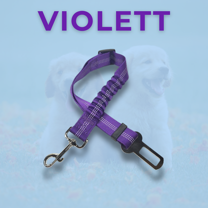 RideBuddy - Sicherheitsgurt