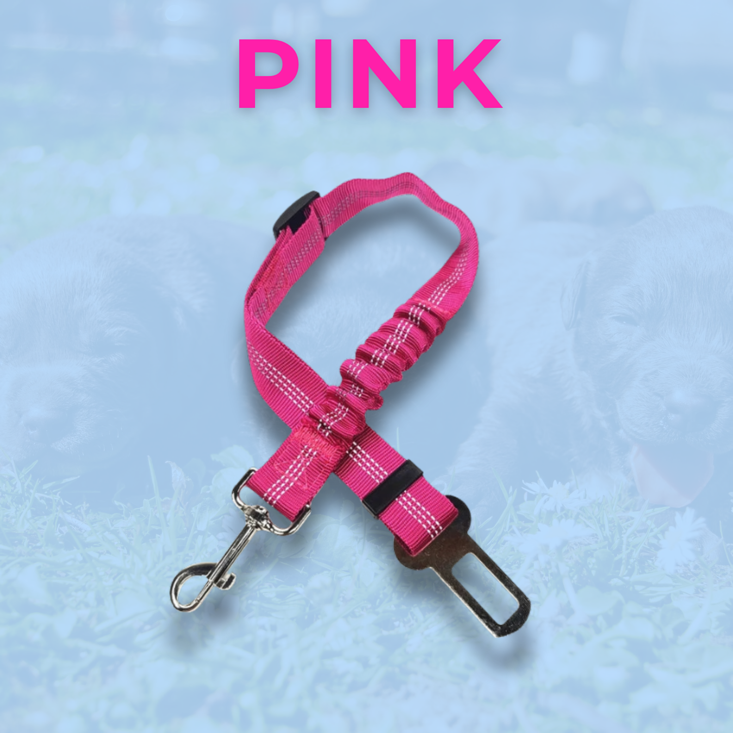 RideBuddy - Sicherheitsgurt