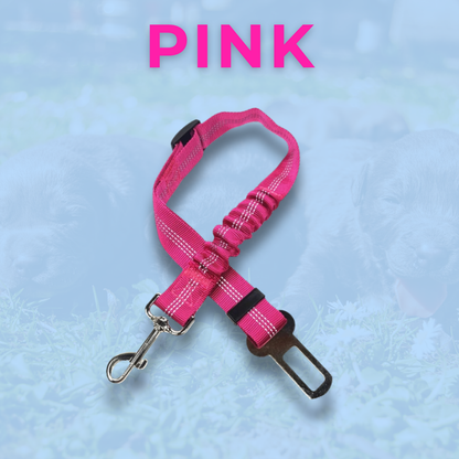 RideBuddy - Sicherheitsgurt