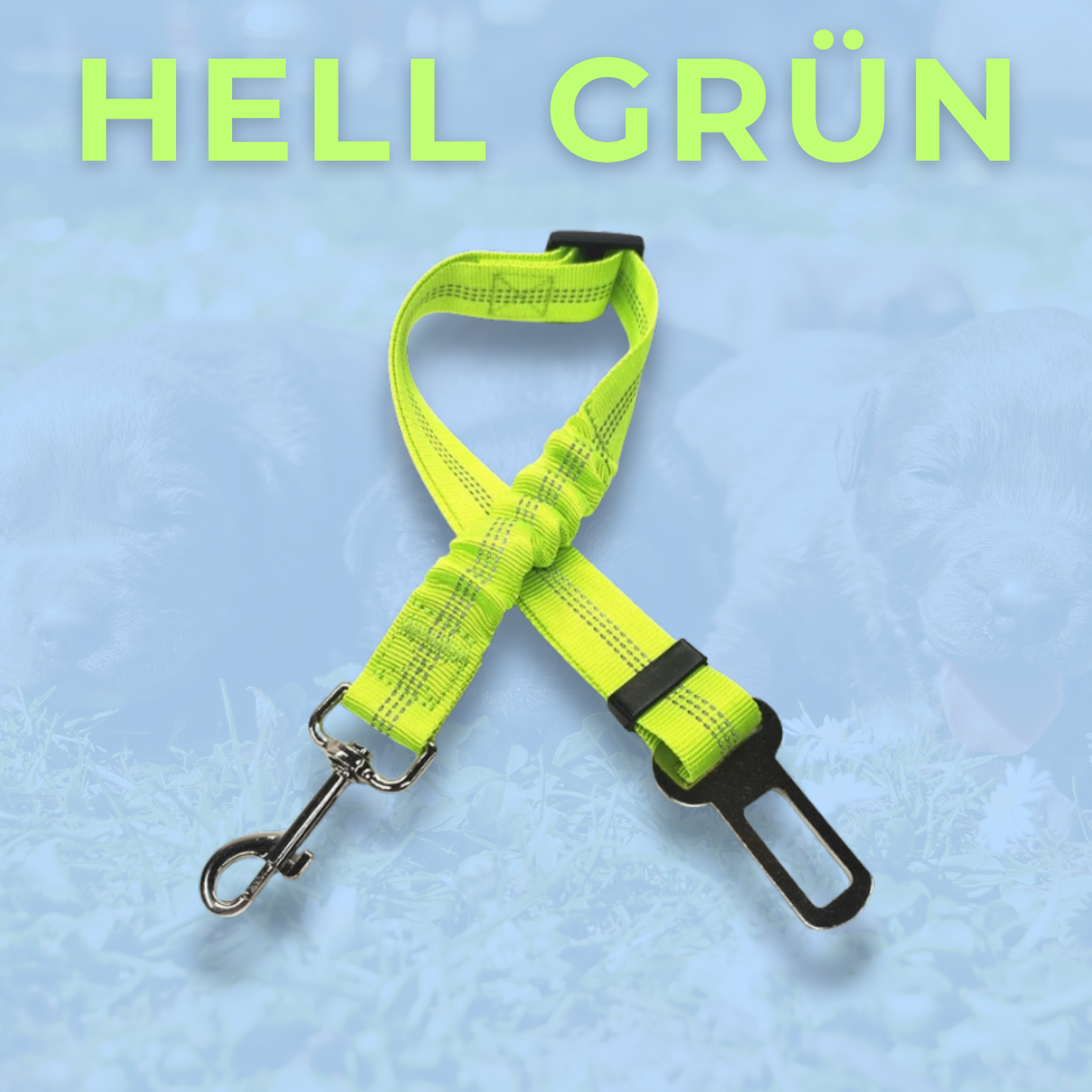 RideBuddy - Sicherheitsgurt