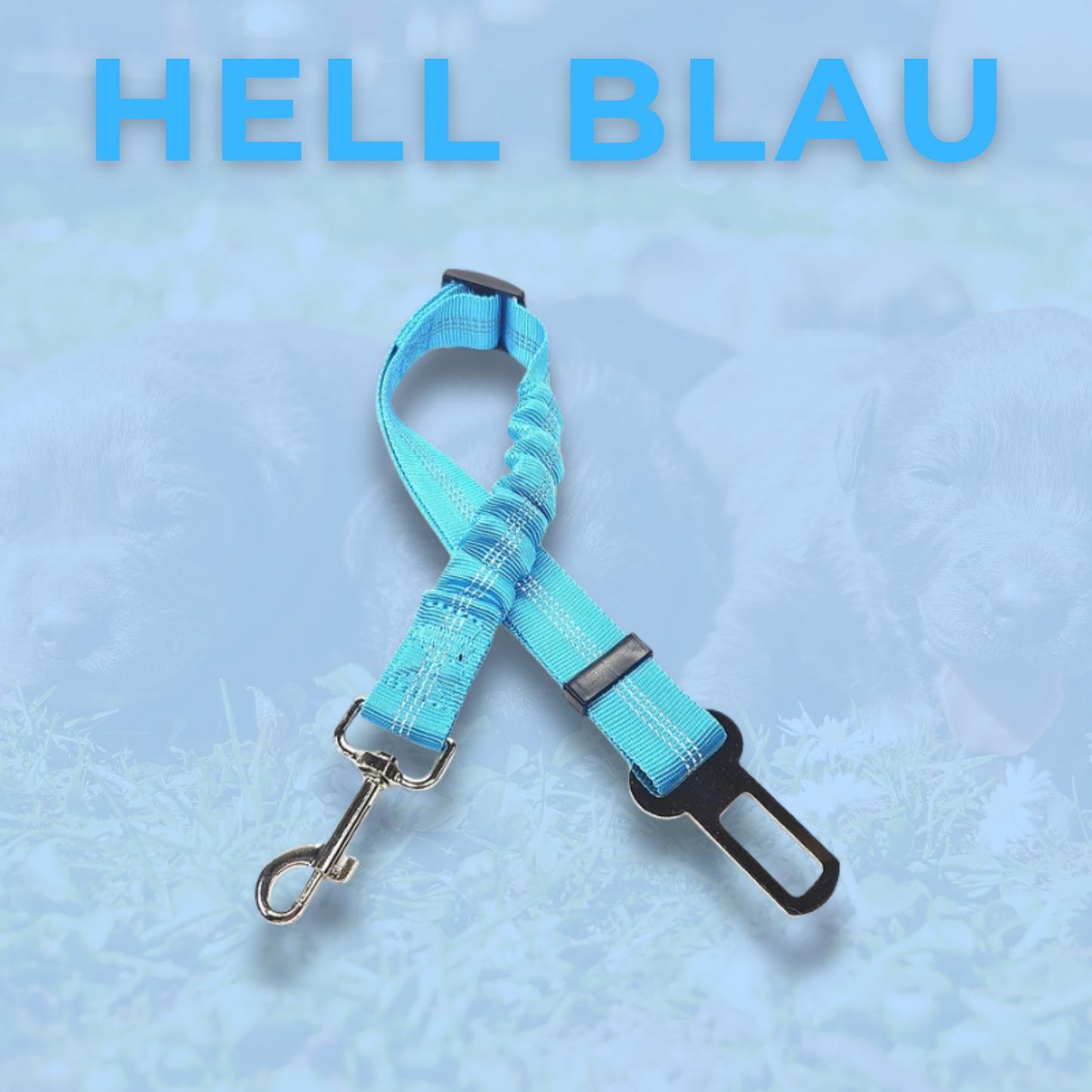 RideBuddy - Sicherheitsgurt