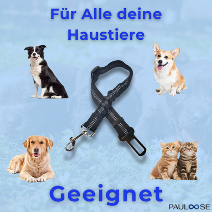 RideBuddy - Sicherheitsgurt